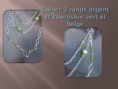 /album/galerie-de-photos-2011/collier-argente-et-sawroskies-jpg/